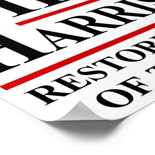 Biden Harris 2020 Poster (Hoek)