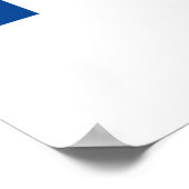 Biden Harris 2020 President Poster (Hoek)