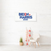 BIDEN HARRIS 2020 SPANDOEK (Insitu)