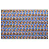Biden Harris 2020 stof (Yard (91,4 cm))