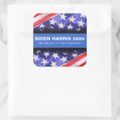 BIDEN HARRIS 2020 USA Flag Campaign Stickers (Tas)