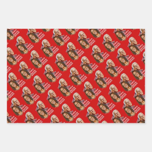 Biden Harris Gift Wrap Inpakpapier Vel (Voorkant 3)