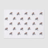 Biden Harris Inauguration Tissuepapier (Voorkant)