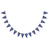 Biden Harris Party Vlaggetjes (Alle)