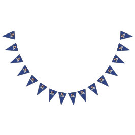 Biden Harris Party Vlaggetjes