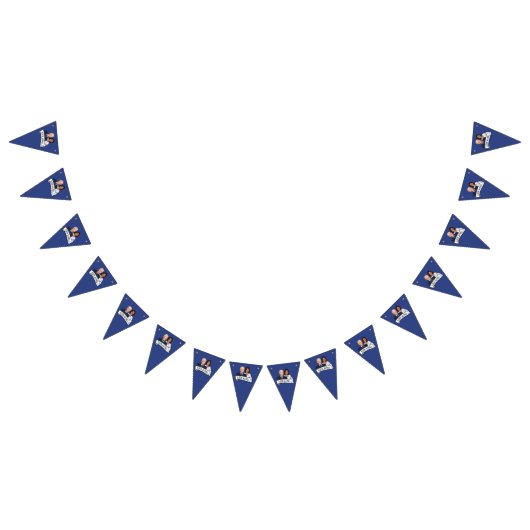 Biden Harris Party Vlaggetjes (Alle)