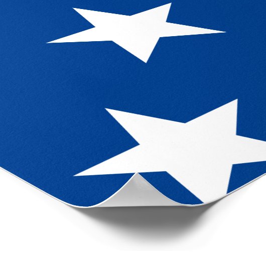 Biden / Harris White Stars Pattern Blue Poster (Hoek)