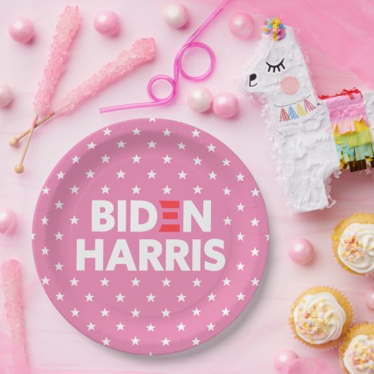 Biden / Harris White Stars Pattern roze Papieren Bordje (Feest)