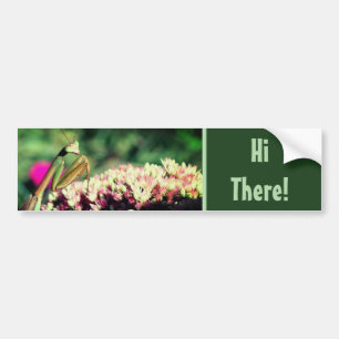 Bidende bids Hi daar Schattig Bumpersticker