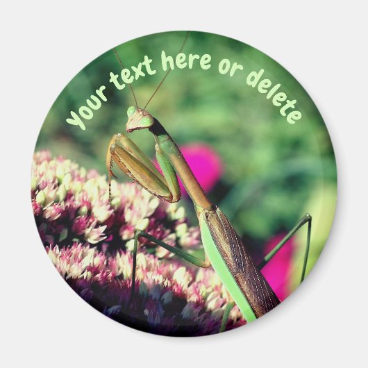 Bidmantis Gepersonaliseerd Magneet (Voorkant)