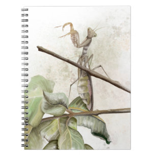 Bidsprinkhaan aquarel  notitieboek