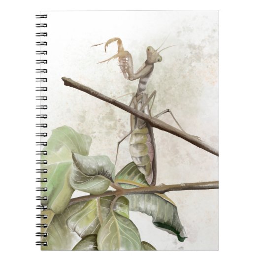 Bidsprinkhaan aquarel notitieboek (Voorkant)