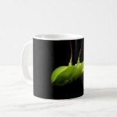 Bidsprinkhaan Koffiemok (Voorkant links)