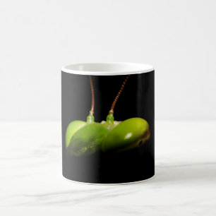 Bidsprinkhaan Koffiemok