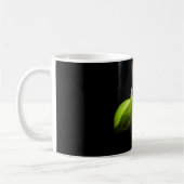 Bidsprinkhaan Koffiemok (Links)