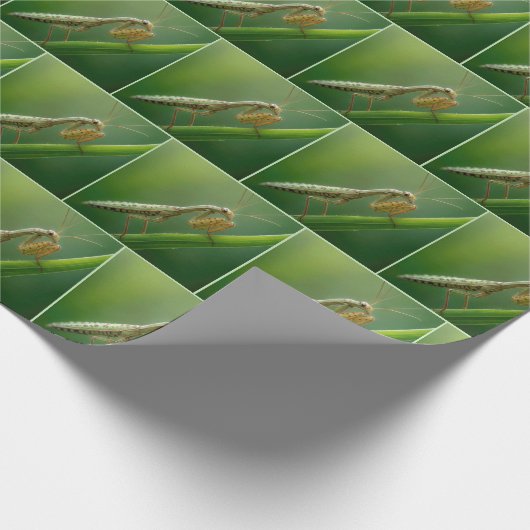 bidsprinkhaan op gras cadeaupapier (Hoek)