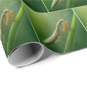 bidsprinkhaan op gras cadeaupapier (Rol Hoek)