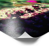 Bidsprinkhaan op sedum bloem close up 8x8 foto afdruk (Hoek)