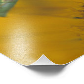 bidsprinkhaan voor vrouw foto afdruk (Hoek)