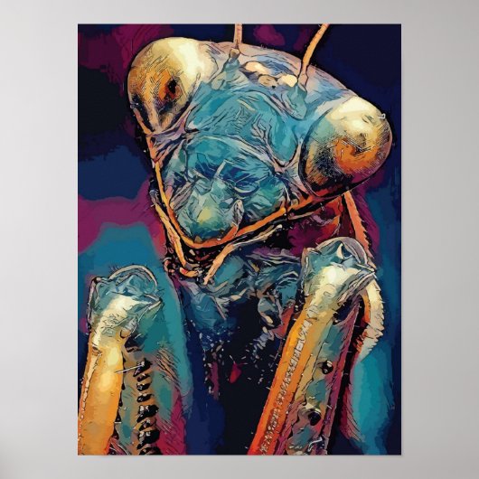 bidsprinkhaanmantisinsectenMantis Orchid Pra Poster (Voorkant)