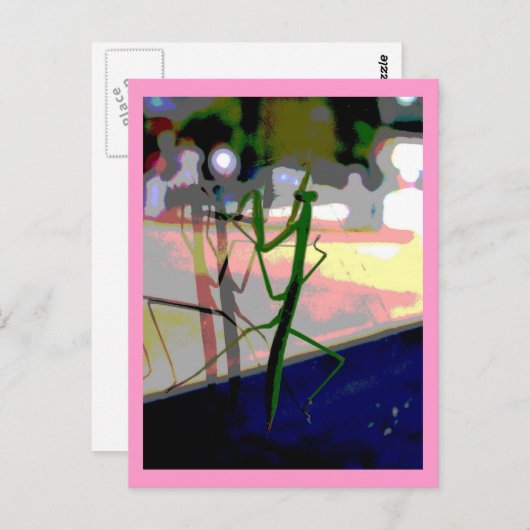 Bidsprinkhanen Briefkaart (Voorkant / Achterkant)