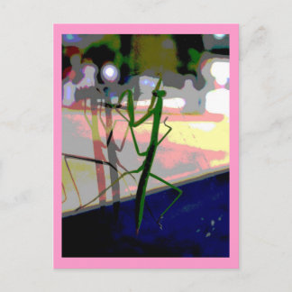 Bidsprinkhanen Briefkaart