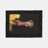 bidsprinkhanen fleece deken (Voorkant (Horizontaal))