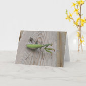 Bidsprinkhanen Kaart (Gele Bloem)