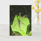 Bidsprinkhanen Notecard Kaart (Gele Bloem)