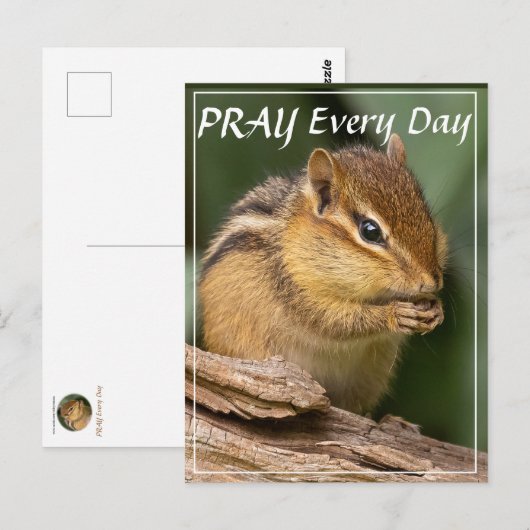 Bidt Elke Dag Chipmunk  Briefkaart (Voorkant / Achterkant)