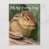 Bidt Elke Dag Chipmunk  Briefkaart (Voorkant)