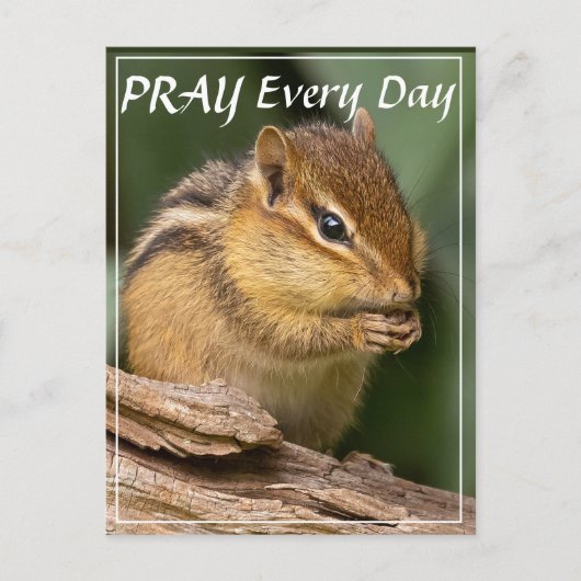 Bidt Elke Dag Chipmunk  Briefkaart (Voorkant)
