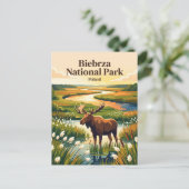 Biebrza Nationaal Park Polen Briefkaart (Staand voorkant)