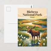 Biebrza Nationaal Park Polen Briefkaart (Voorkant / Achterkant)