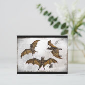 Biedt een educatief Bord Briefkaart (Staand voorkant)