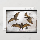 Biedt een educatief Bord Briefkaart (Voorkant / Achterkant)