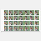 Biedt ijzer op waslabels, tijger en NAAM Labels (Vel)