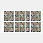 Biedt ijzer op waslabels, tijger en NAAM Labels (Vel)