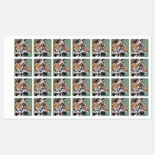 Biedt ijzer op waslabels, tijger en NAAM Labels (Vel)