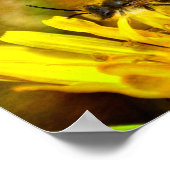 Biene auf Blüte Poster (Hoek)