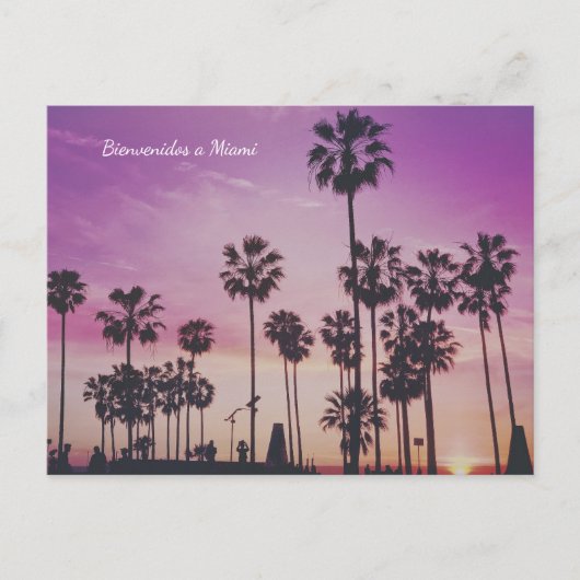 Bienvenidos a Miami Palm Trees Briefkaart (Voorkant)