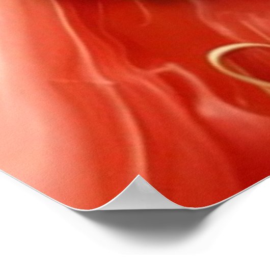 Bier en BBQ gaan samen Poster (Hoek)