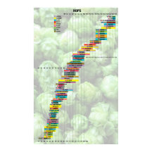 Bier met cijfers - hop