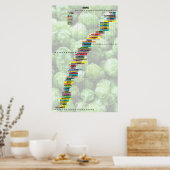 Bier met cijfers - hop poster (Keuken)