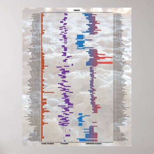 Bier met de cijfers - Gist Poster (Voorkant)