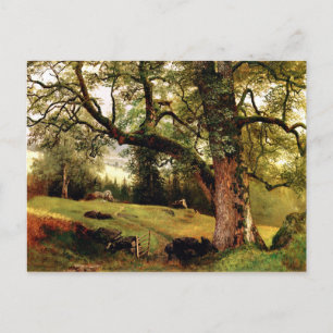 Bierstadt - Een spoor door de bomen Briefkaart