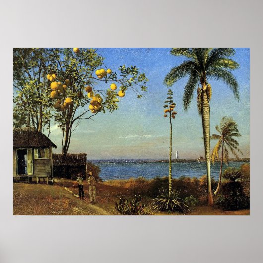 Bierstadt - Een uitzicht in de Bahama's Poster (Voorkant)