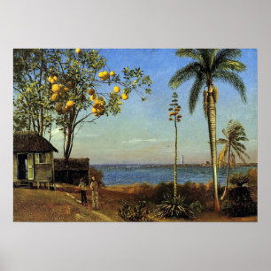 Bierstadt - een Uitzicht op de Bahama ' s Poster