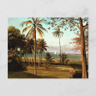 Bierstadt - Florida Scene Briefkaart