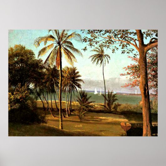 Bierstadt - Floridascène Poster (Voorkant)